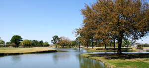 Belle Terre Country Club New Orleans Photo